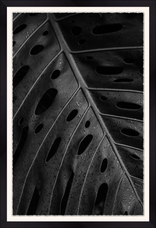 Deepest Desires by Christine Alward