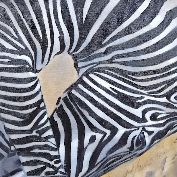 24084_k0ydcw_0 by Matthew Jacobson