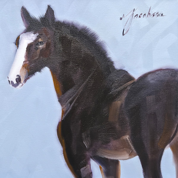 colt by Matthew Jacobson