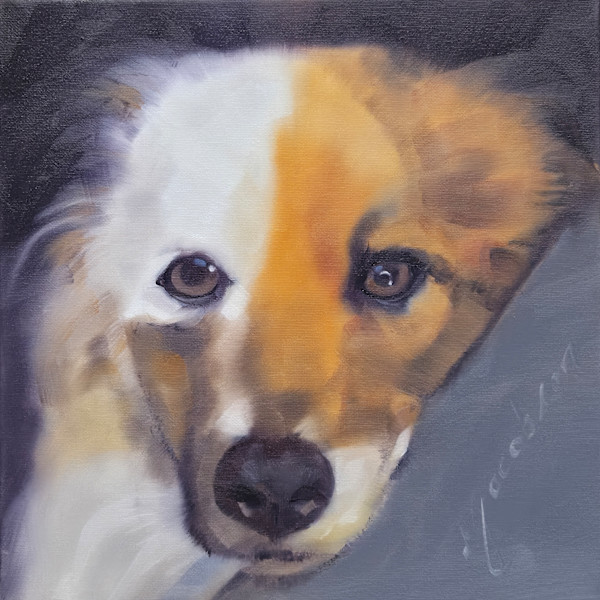 Noki by Matthew Jacobson, Image 1.