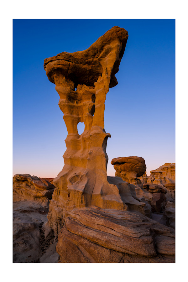 Alien Throne by Pam Powell