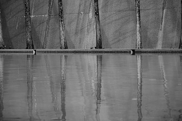 Cypress by Pam Powell, Image 1.