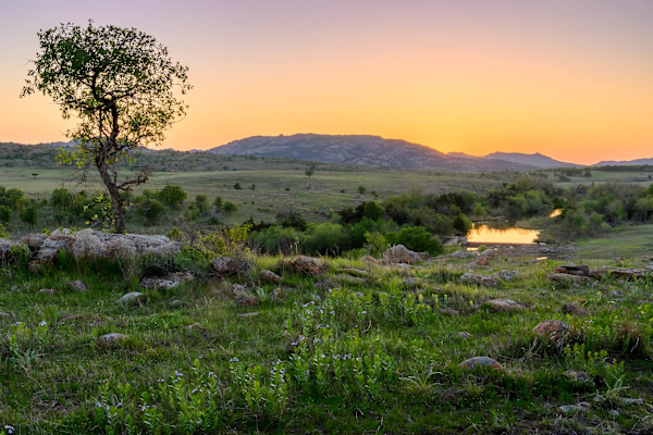 Whispering Meadow by Pam Powell, Image 1.