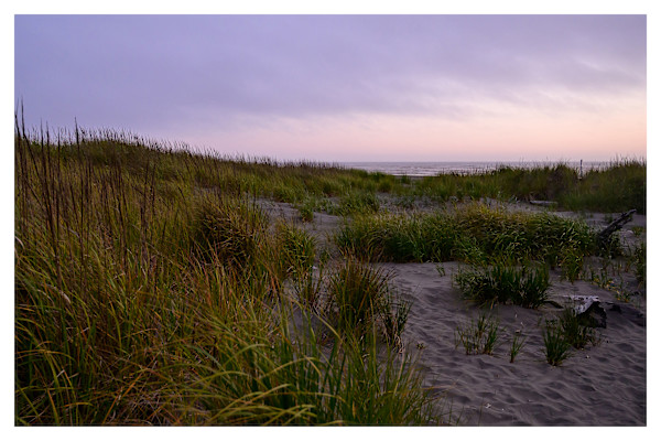 Summer's Kiss by Pam Powell