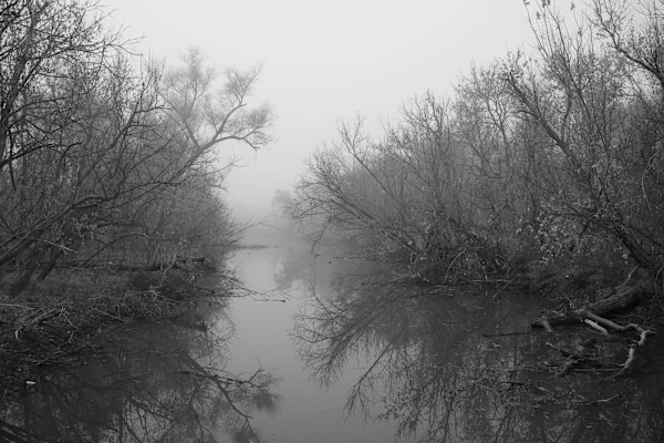 Am I Alone? by Pam Powell, Image 1.