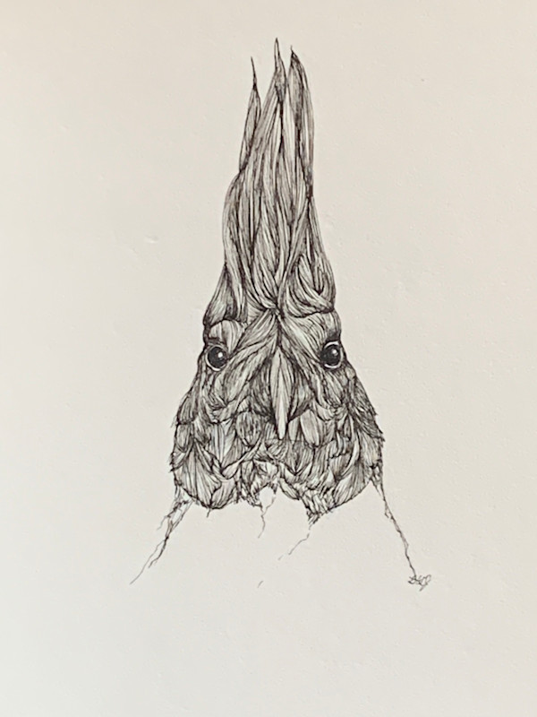 Cardinal by Barbara Wentzell Jaquith