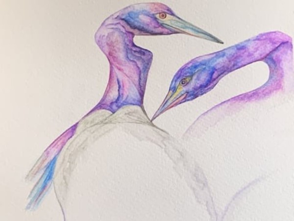 Herons by Barbara Wentzell Jaquith