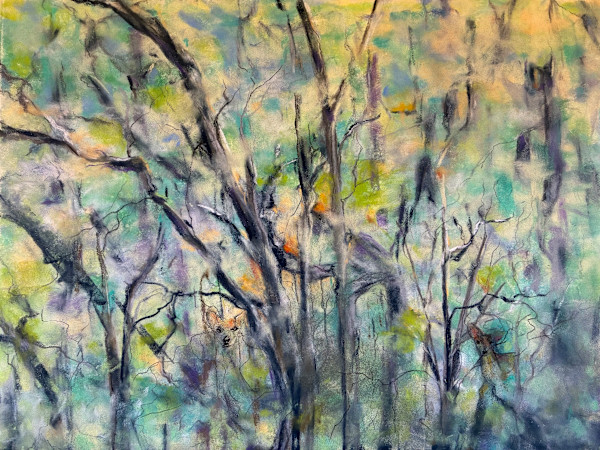 Tangled Beauty: Deer in the Woods by Barbara Wentzell Jaquith, Image 1.