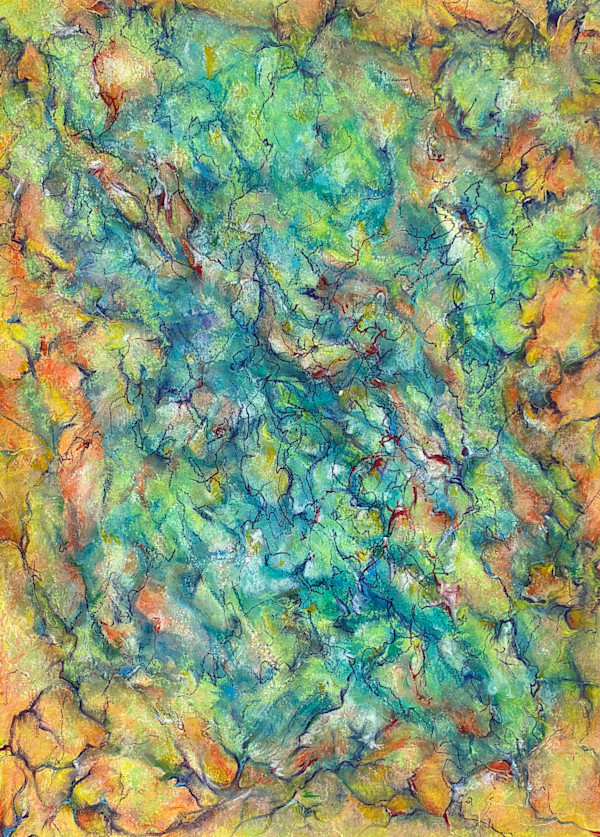 Tangles in a Beautiful Mind by Barbara Wentzell Jaquith