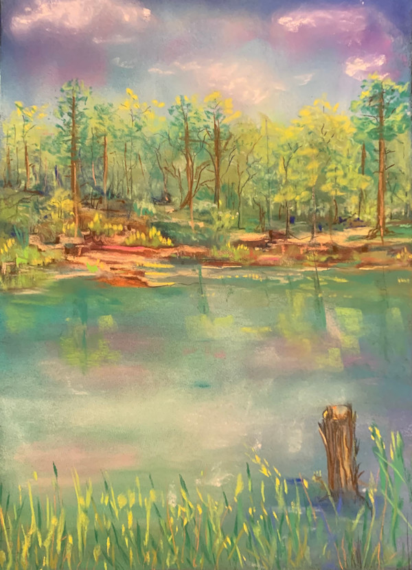Hidden Acres Nature Preserve: All Things Rising by Barbara Wentzell Jaquith