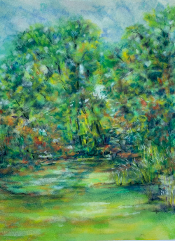 The Meadow at Zonolite Park in Fall by Barbara Wentzell Jaquith