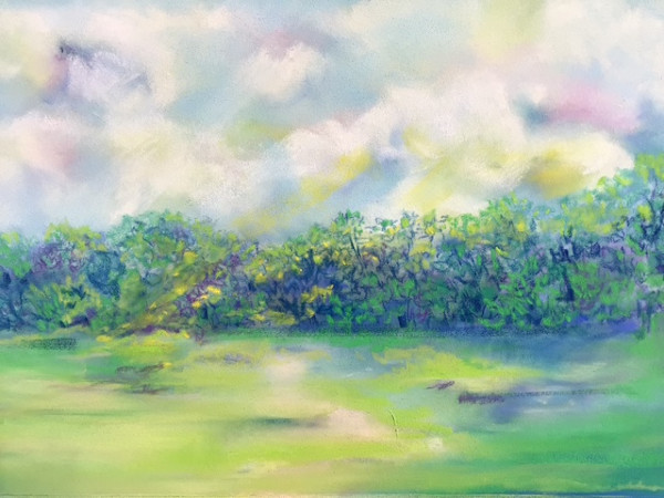 Meadow at Zonolite by Barbara Wentzell Jaquith