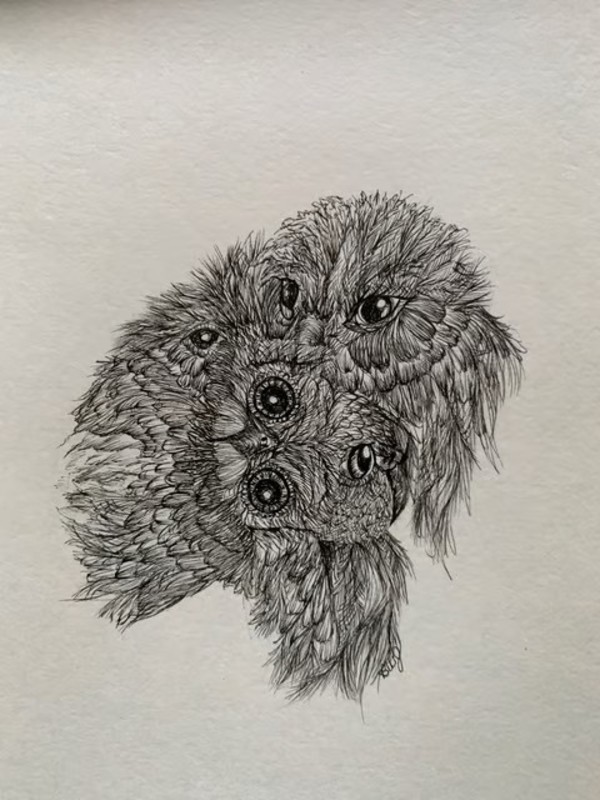 The Watchers 1 by Barbara Wentzell Jaquith