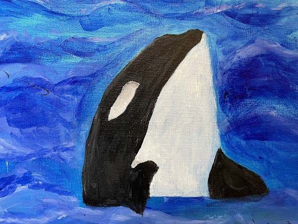 Blackfin by Aaryan S