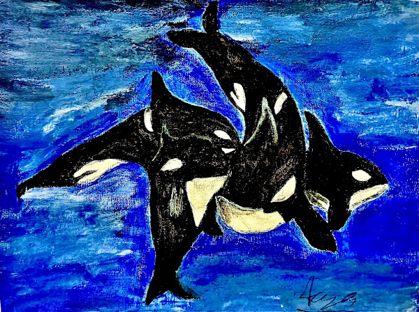 Orca Pod by Aaryan S
