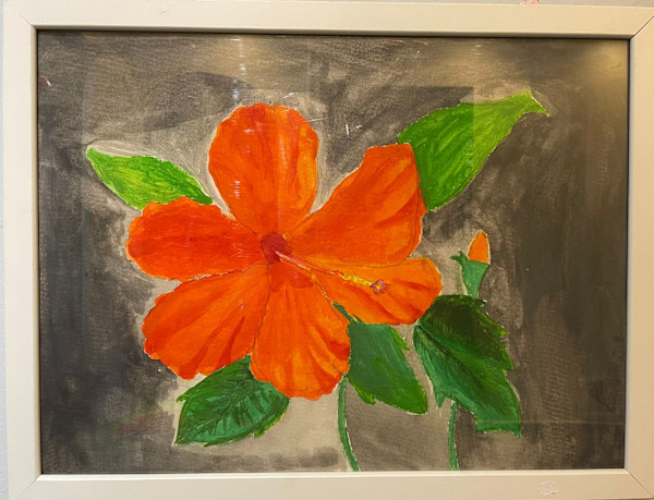 Six Petal Hibiscus by Aaryan S