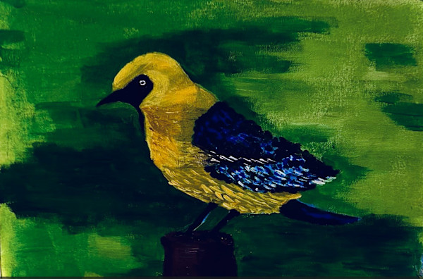 Harmony in colour by Aaryan S