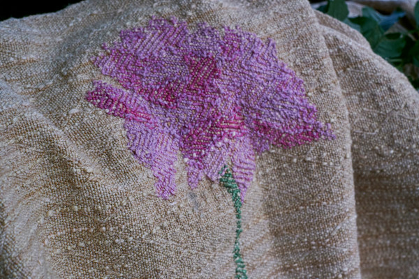 Chrysanthemum by Lucie Šťastná
