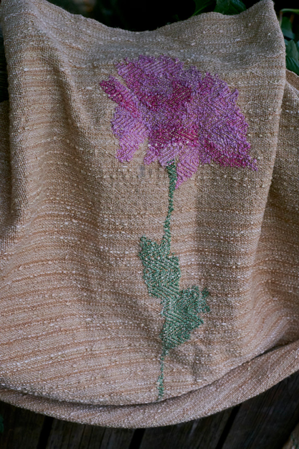 Chrysanthemum by Lae Šťastná