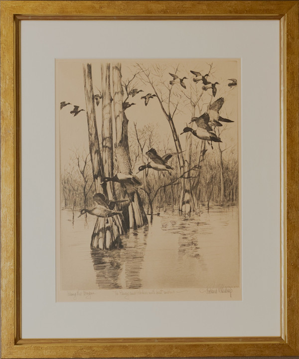 Along the Bayou by Richard Evett Bishop