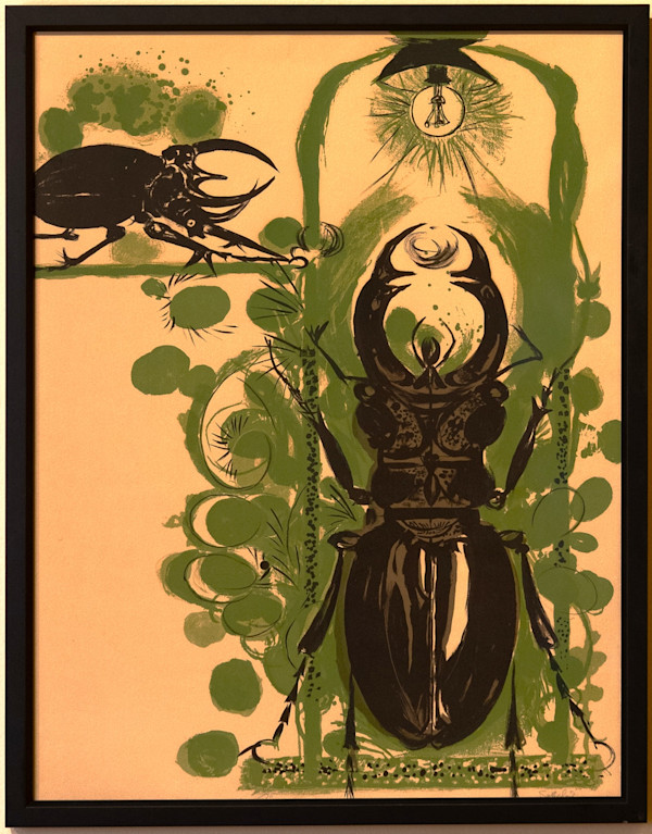 Beetle by Graham Sutherland