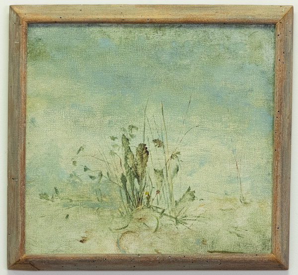 Dandelions and Grasses by Walter Stein