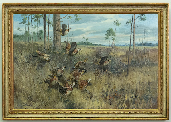 In the Pinelands by George Browne