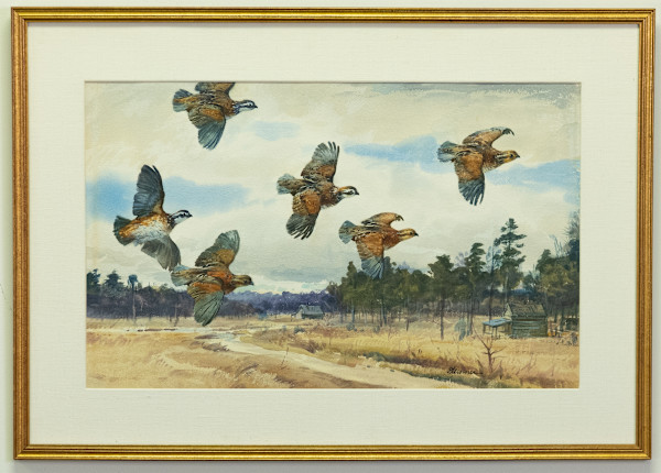 Quail in Flight by Ogden M. Pleissner