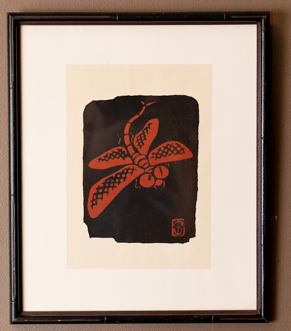 Untitled (Brown fly) by Unknown