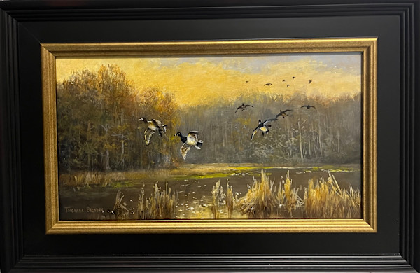Ringneck Morning by Thomas Brooks, Image 1.