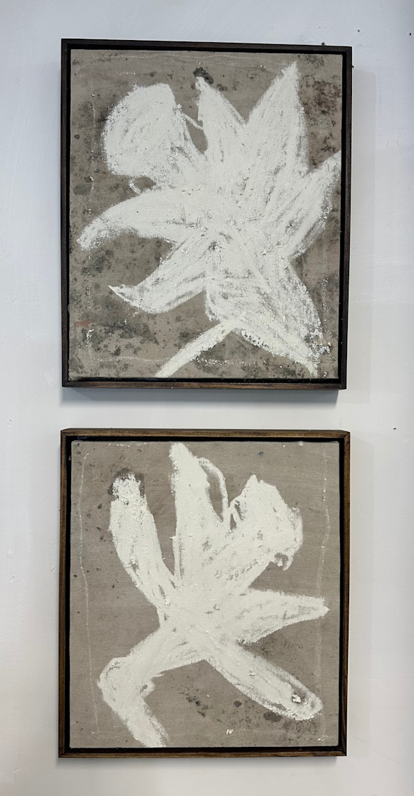 Daffodils by andrew alba