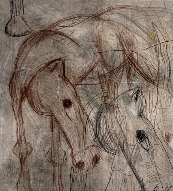 On a tree a few yards away from the trailer, she hangs a grocery bag of dead mice by andrew alba