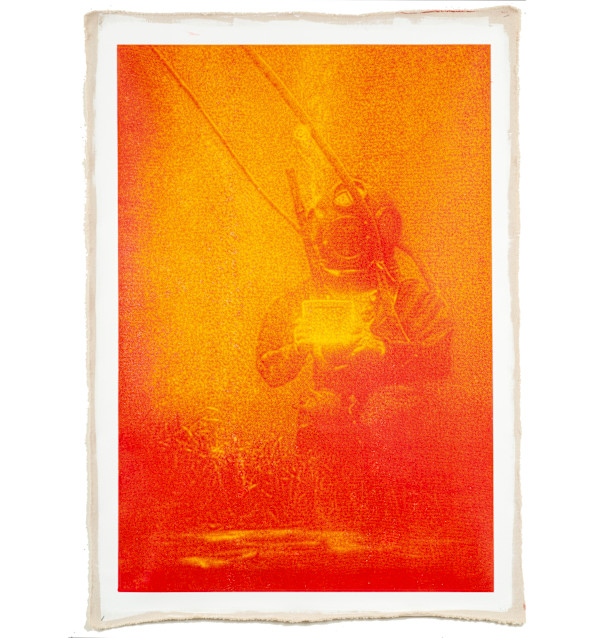 Diver by Daniel Dens