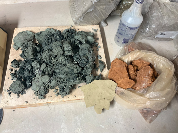 Wild Clay in progress by bugz fraugg, Image 2.