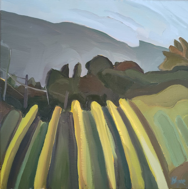 Vineyard by Phyllis Bryce Ely