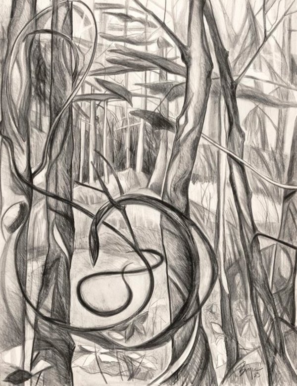 WOODS DWELLER by Phyllis Bryce Ely
