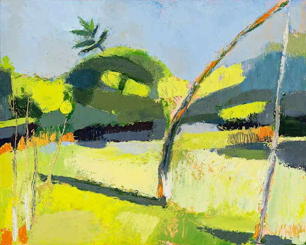 Swamp Shadows by Phyllis Bryce Ely