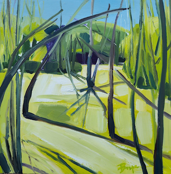 Swamp Shadows by Phyllis Bryce Ely