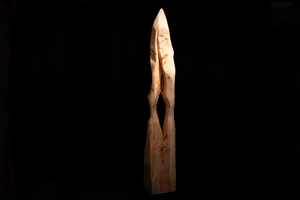 ‘Wings' by David Puustinen