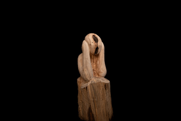 ‘Scream' by David Puustinen