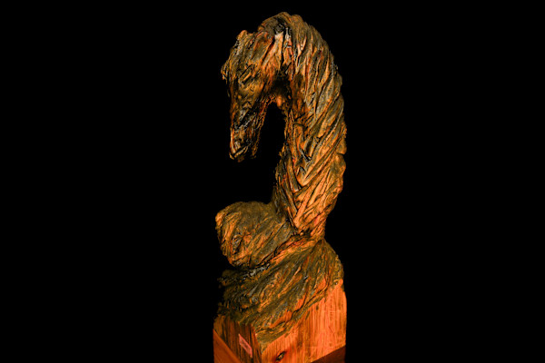 Dragon by David Puustinen, Image 1.