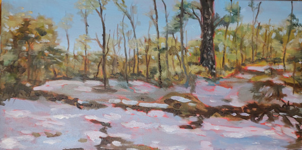 Snowfall in Louisiana by David L Boucher
