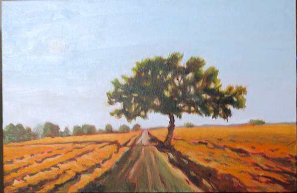 The Long Road Home by David L Boucher