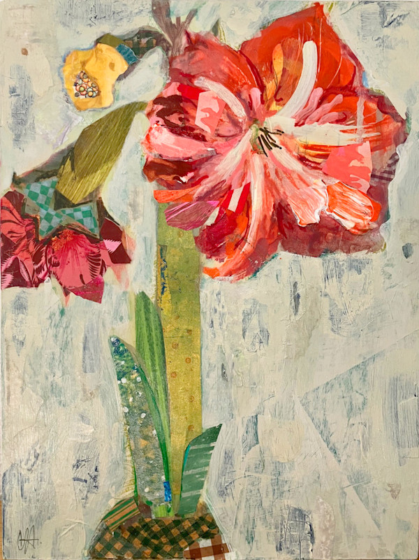 Amaryllis by Carolyn Holman