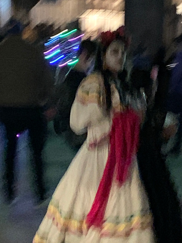 Day of the Dead by Marilyn Citron