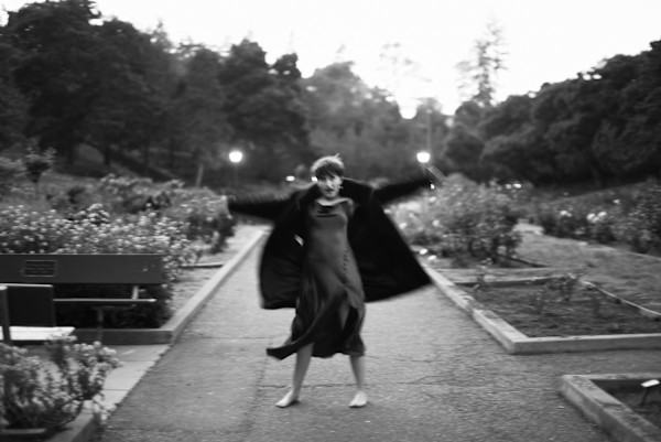 Before The Party, Twilight in Morcom Rose Garden by Victoria Remler