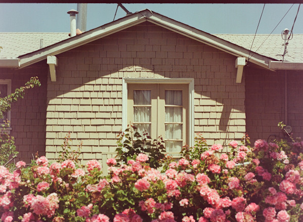 Flowers on Bayo Street by Julian Marin