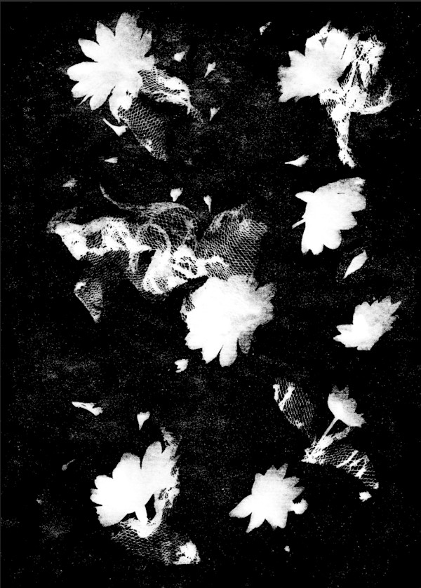 Rosa's by Jannett Perez