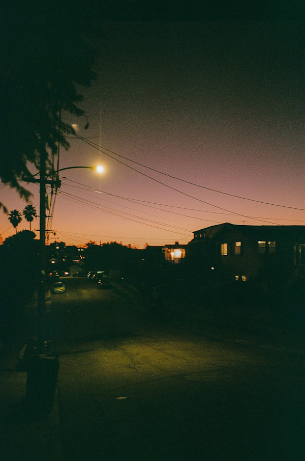 Goodnight Madrone Avenue by Julian Marin