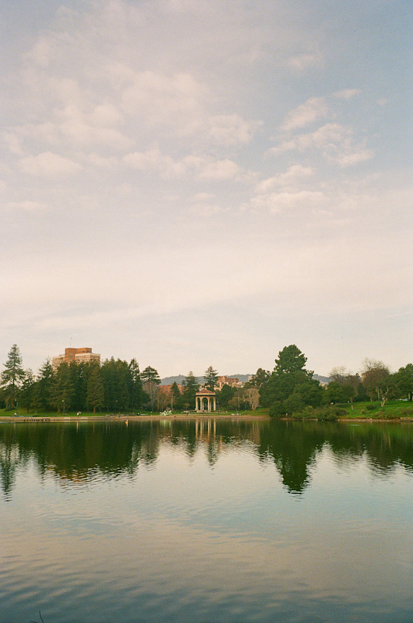 Foggy Oakland Hills by Julian Marin